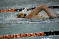 14.01.30 LWN Boys Swimming