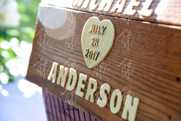 Anderson-783