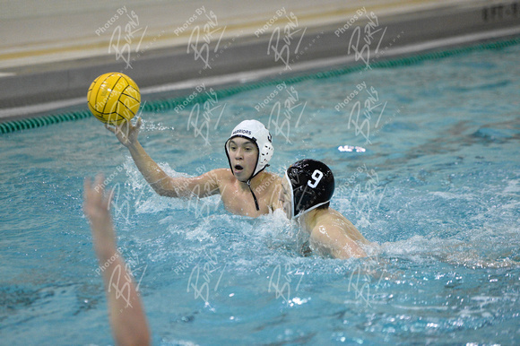 14.04.11_LWN_WaterPolo_1310PJB